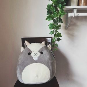 Squishmallow Walker 16”. New With Tags. Easter Edition.